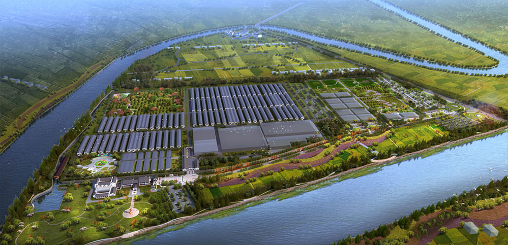 云顶集团app牧业